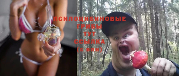 PSILOCYBIN Новодвинск